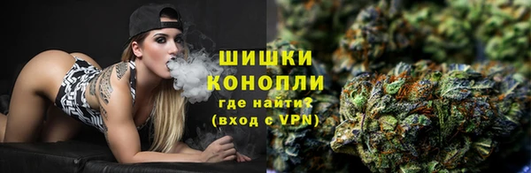 ГАЛЛЮЦИНОГЕННЫЕ ГРИБЫ Алексин