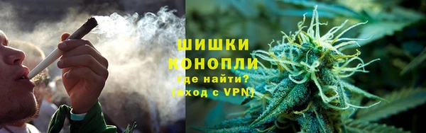 ГАЛЛЮЦИНОГЕННЫЕ ГРИБЫ Алексин
