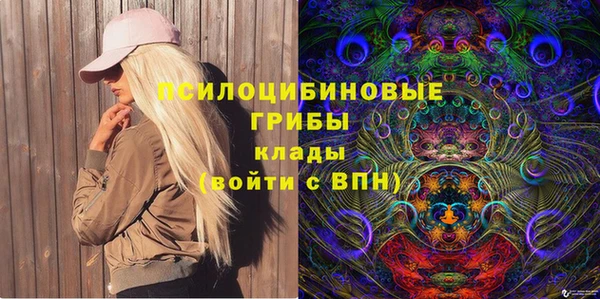ГАЛЛЮЦИНОГЕННЫЕ ГРИБЫ Алексин